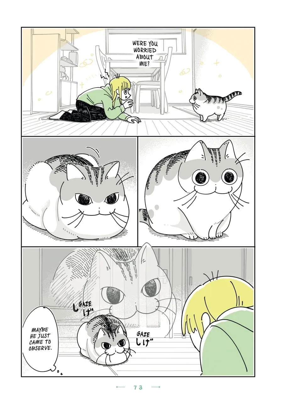 Nights With a Cat Chapter 189 page 3 - 