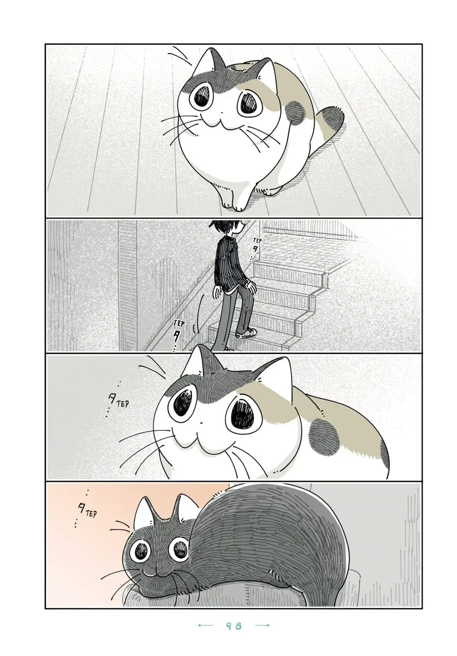 Nights With a Cat Chapter 197 page 3 - 