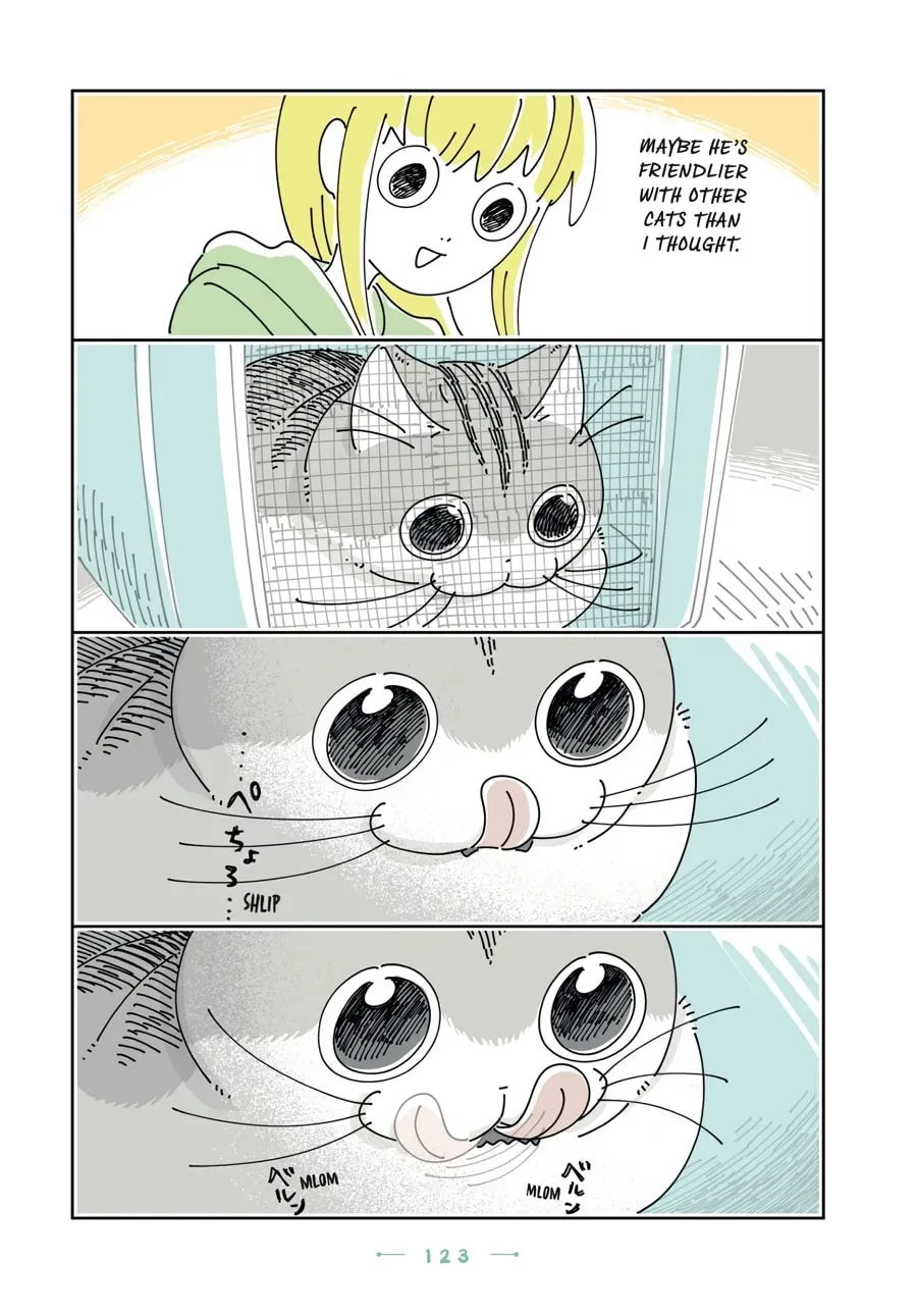 Nights With a Cat Chapter 199 page 6 - 