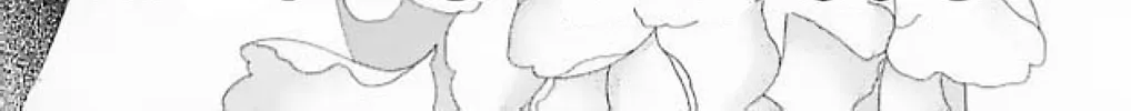 Ningyo no Kubi Chapter 4 page 2 - 