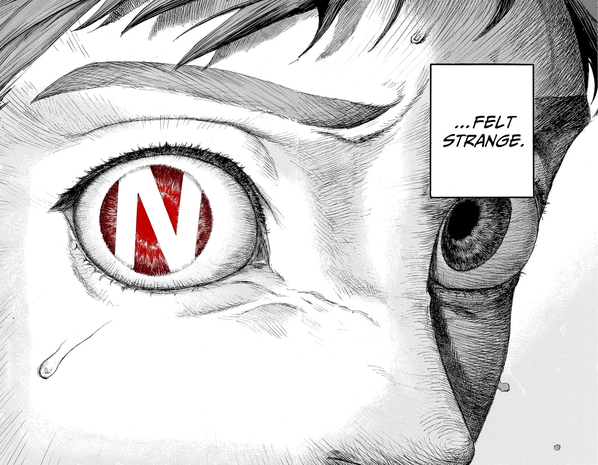 N Chapter 1 page 4 - 