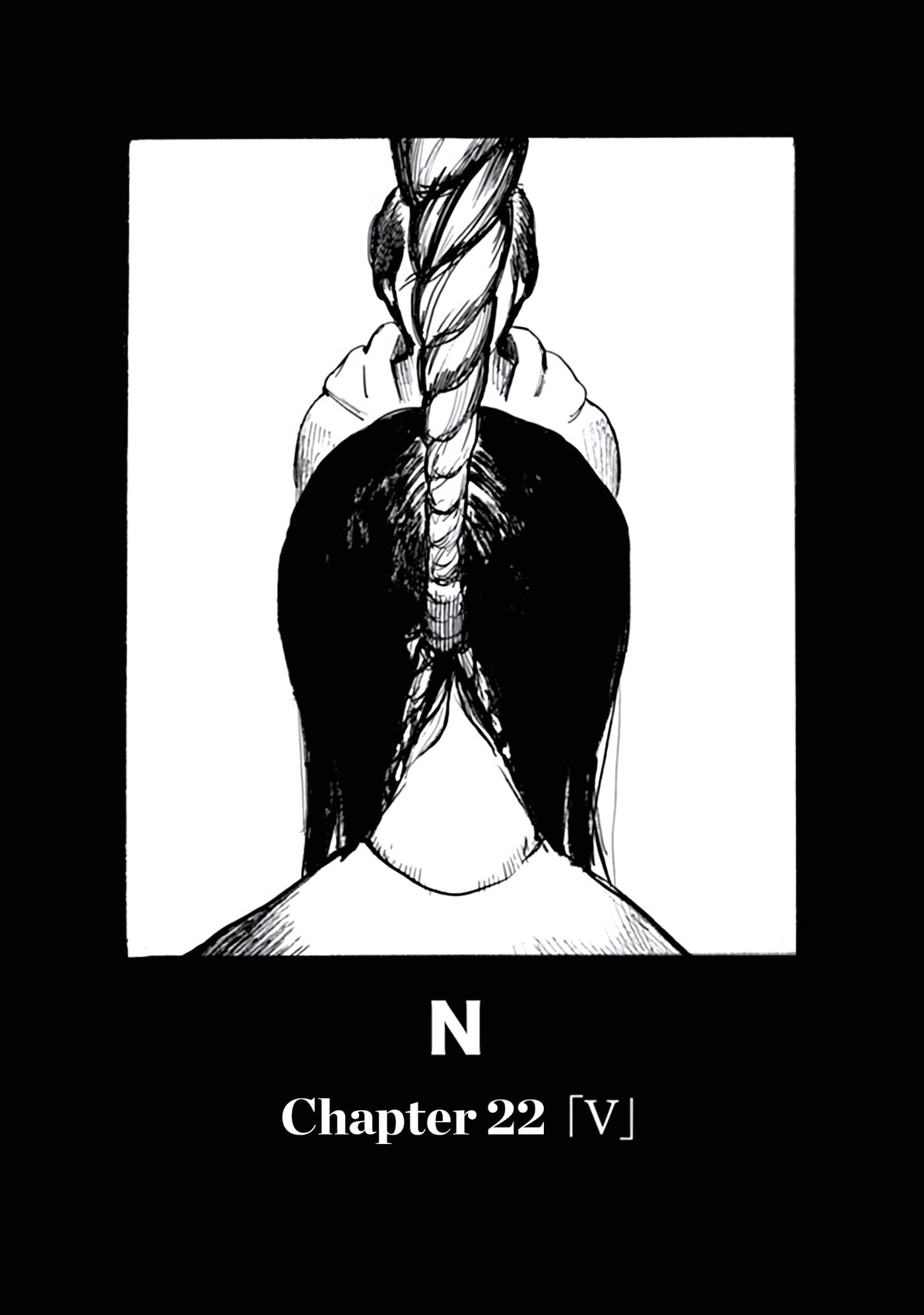 N Chapter 22 page 19 - 