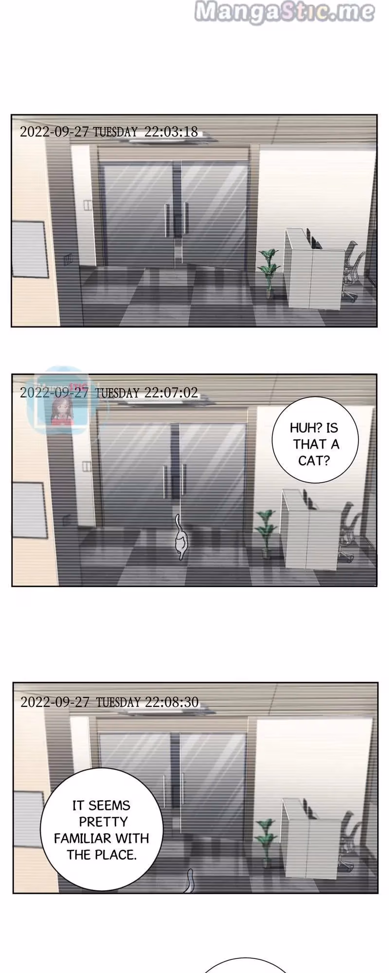 No Arguing With Mr. Mo Chapter 43 page 11 - 
