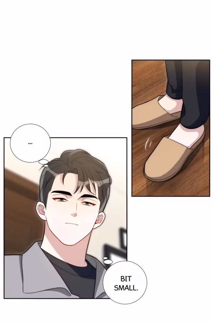 No Arguing With Mr. Mo Chapter 73 page 19 - 