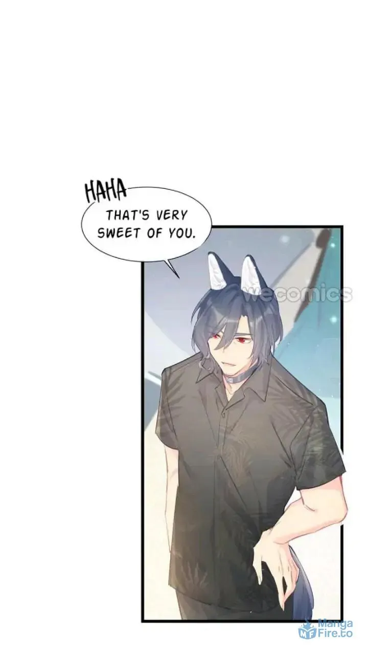 No Choco for Doggo (Colored) Chapter 43 page 4 - 