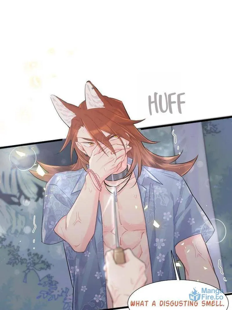 No Choco for Doggo (Colored) Chapter 57 page 18 - 