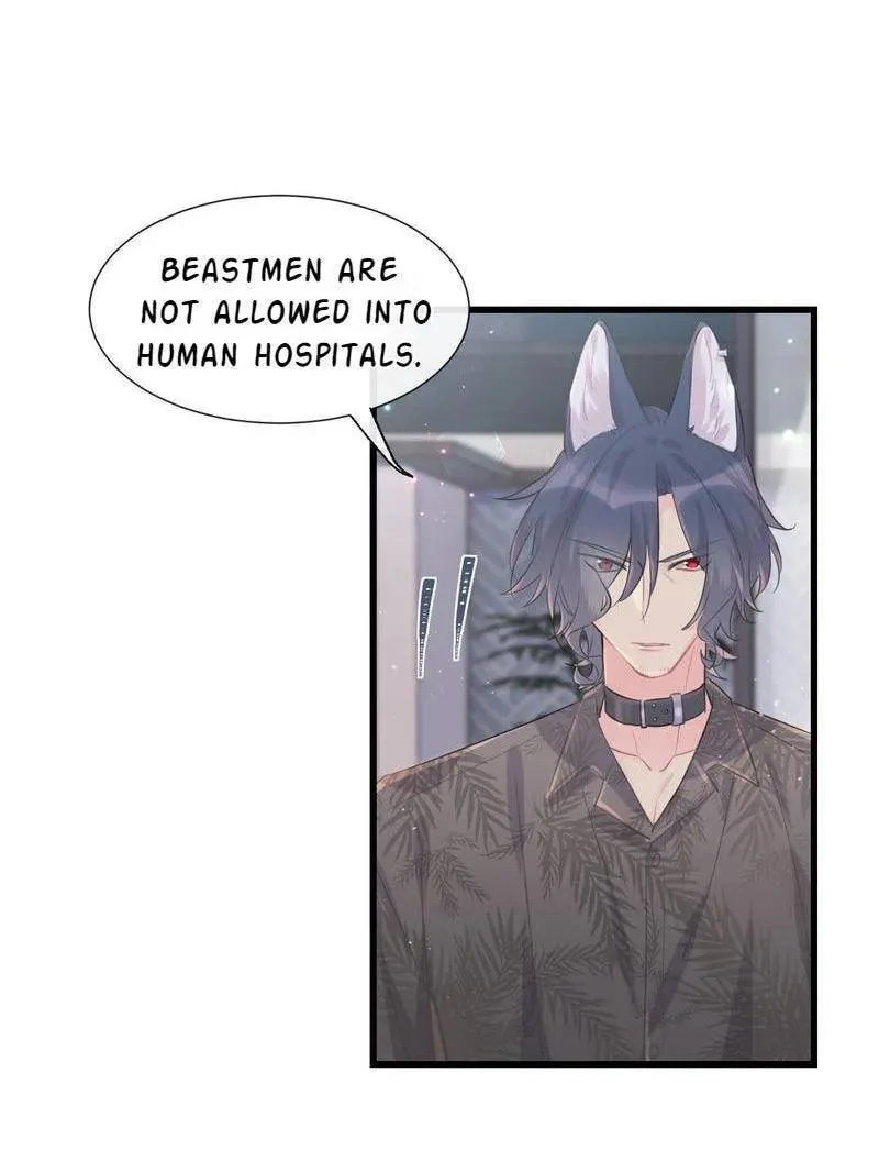 No Choco for Doggo (Colored) Chapter 59 page 22 - 