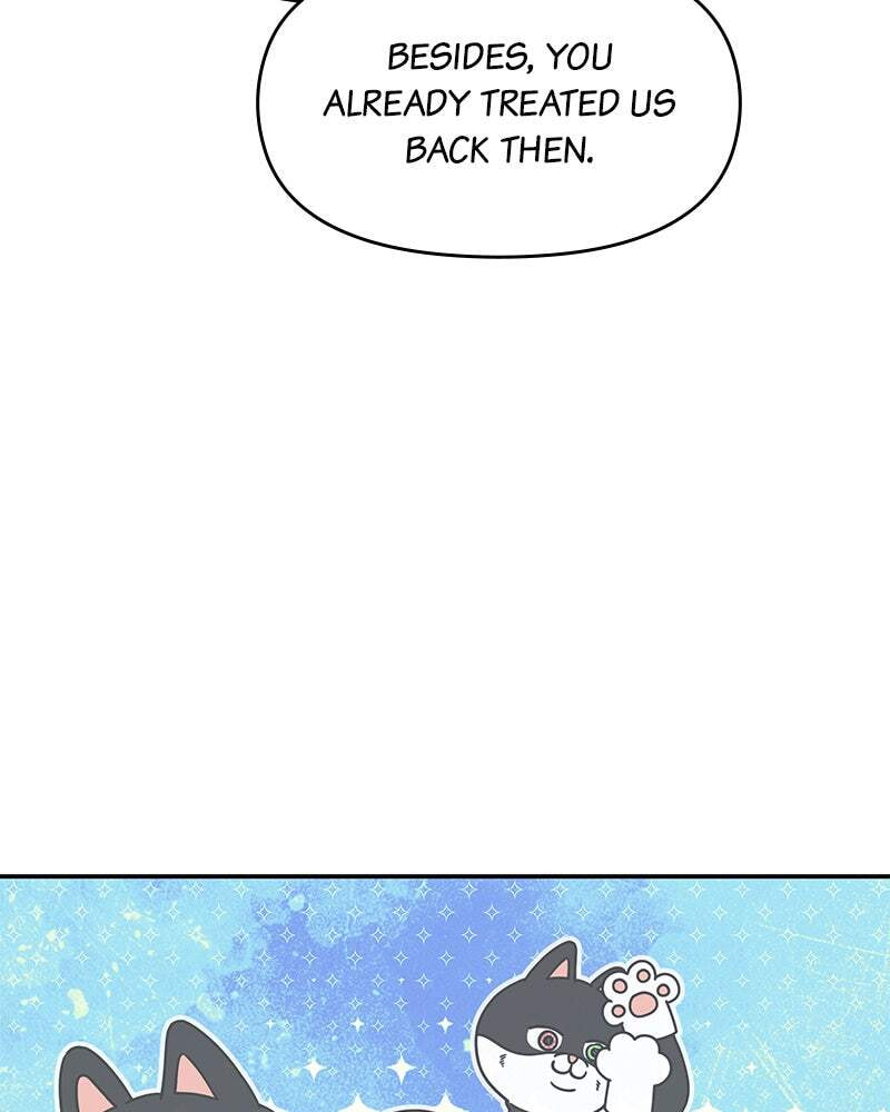 No Office Romance! Chapter 78 page 66 - 