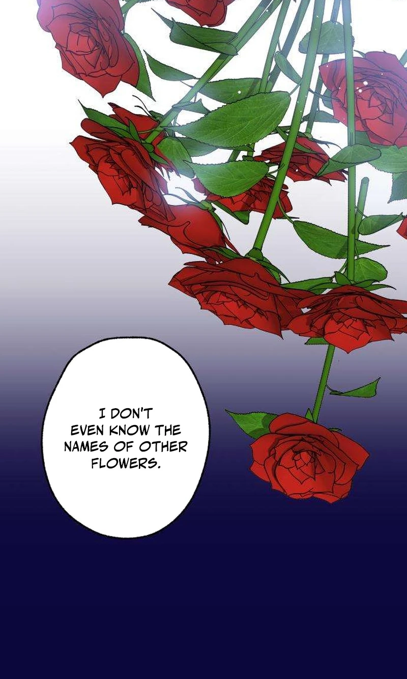 Nobody Chapter 31 page 59 - 