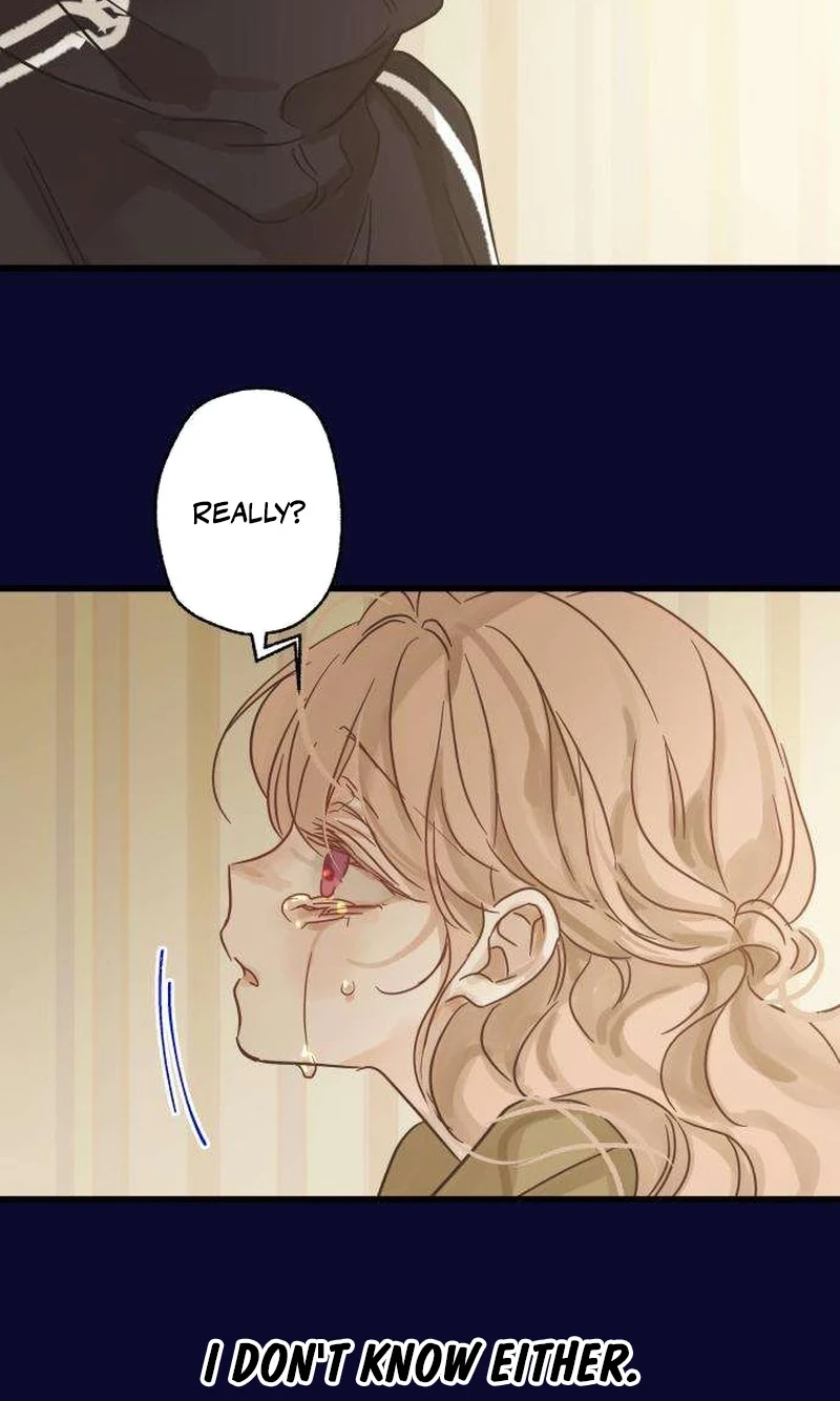 Nobody Chapter 33 page 43 - 