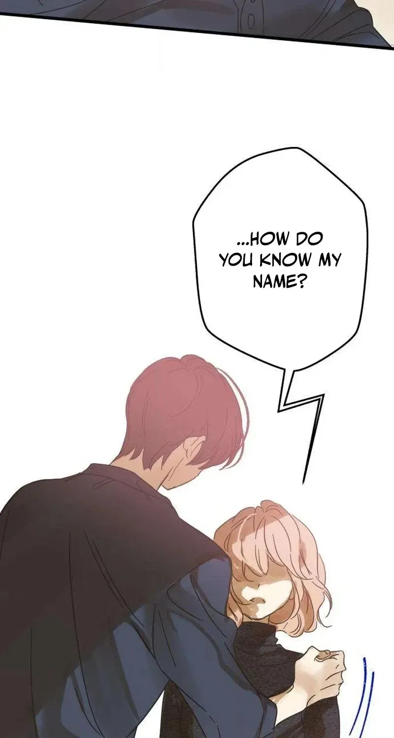 Nobody Chapter 35 page 70 - 
