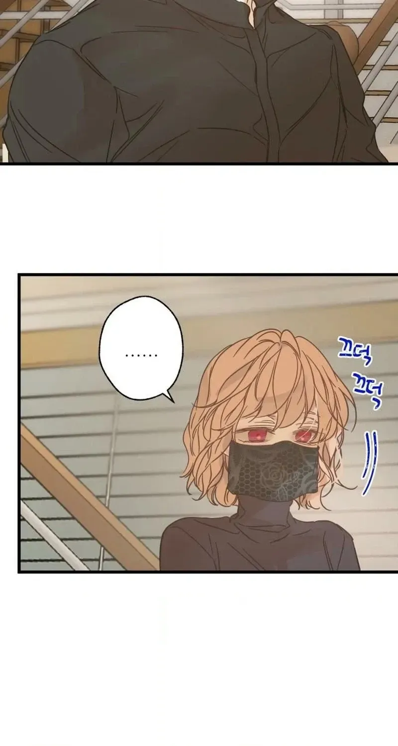 Nobody Chapter 38 page 50 - 