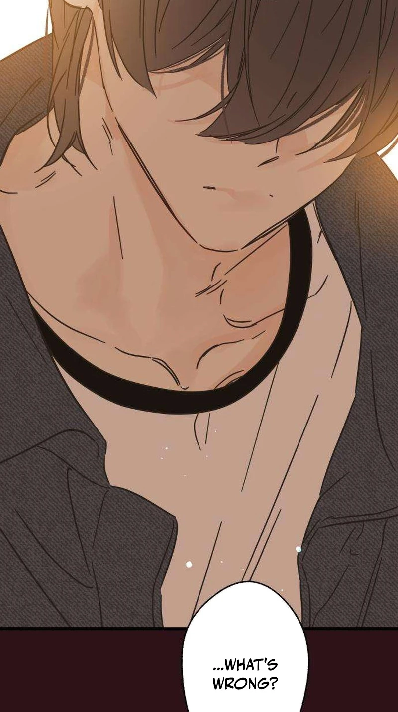 Nobody Chapter 42 page 14 - 