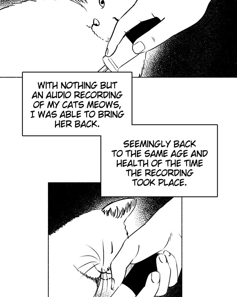 Nocturne Chapter 117 page 5 - 