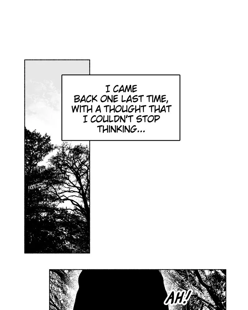 Nocturne Chapter 119 page 19 - 