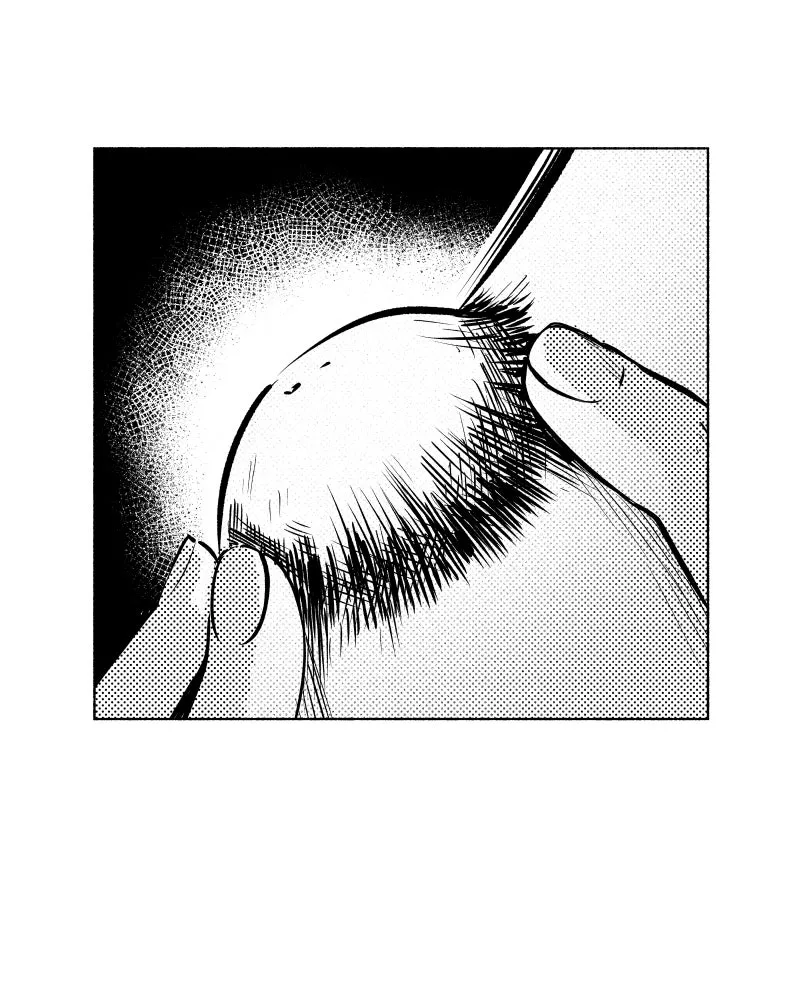 Nocturne Chapter 16 page 31 - 