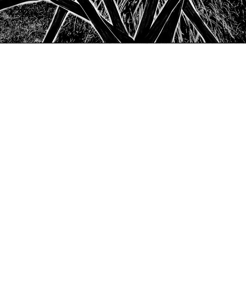 Nocturne Chapter 19 page 13 - 