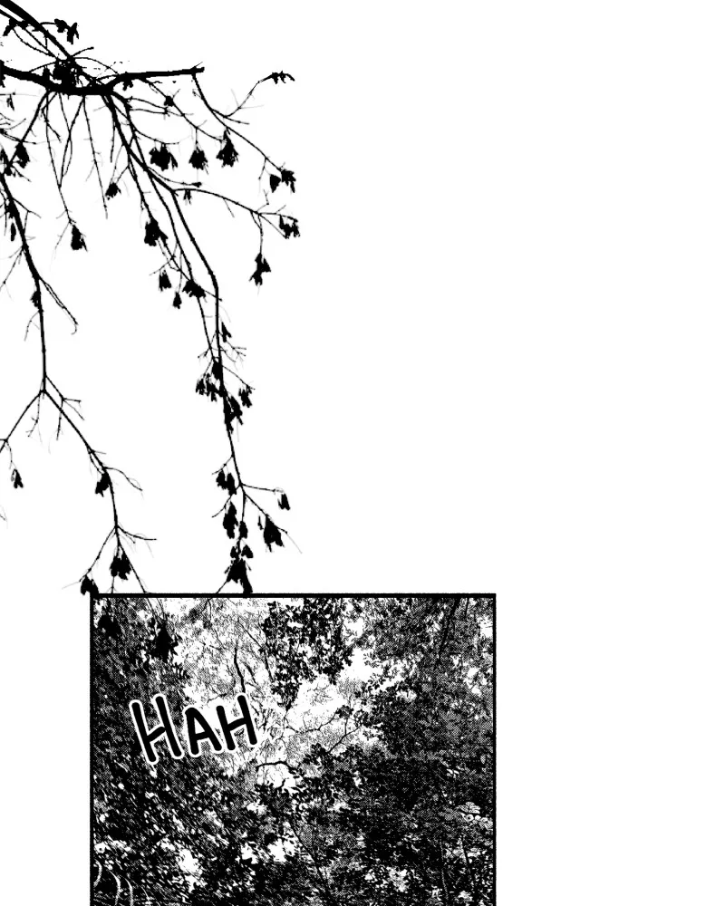 Nocturne Chapter 36 page 3 - 