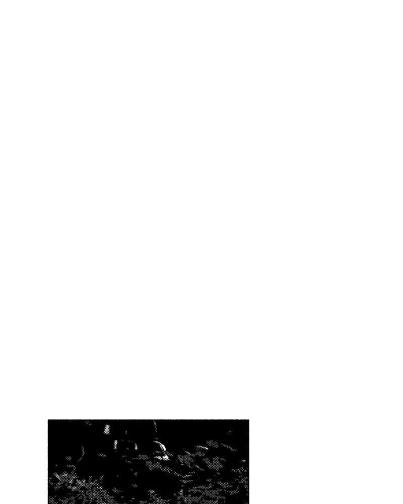 Nocturne Chapter 39 page 23 - 