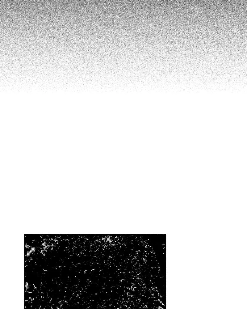 Nocturne Chapter 40 page 2 - 