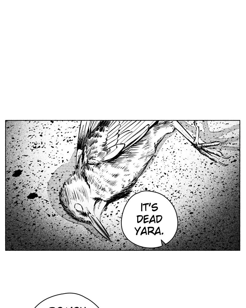 Nocturne Chapter 46 page 5 - 