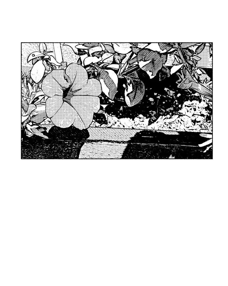 Nocturne Chapter 59 page 24 - 