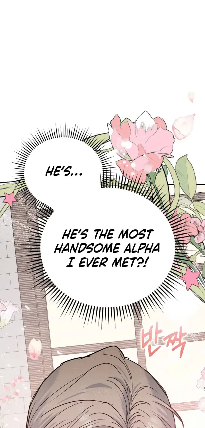 Non-Refundable Alpha Chapter 0 page 41 - 