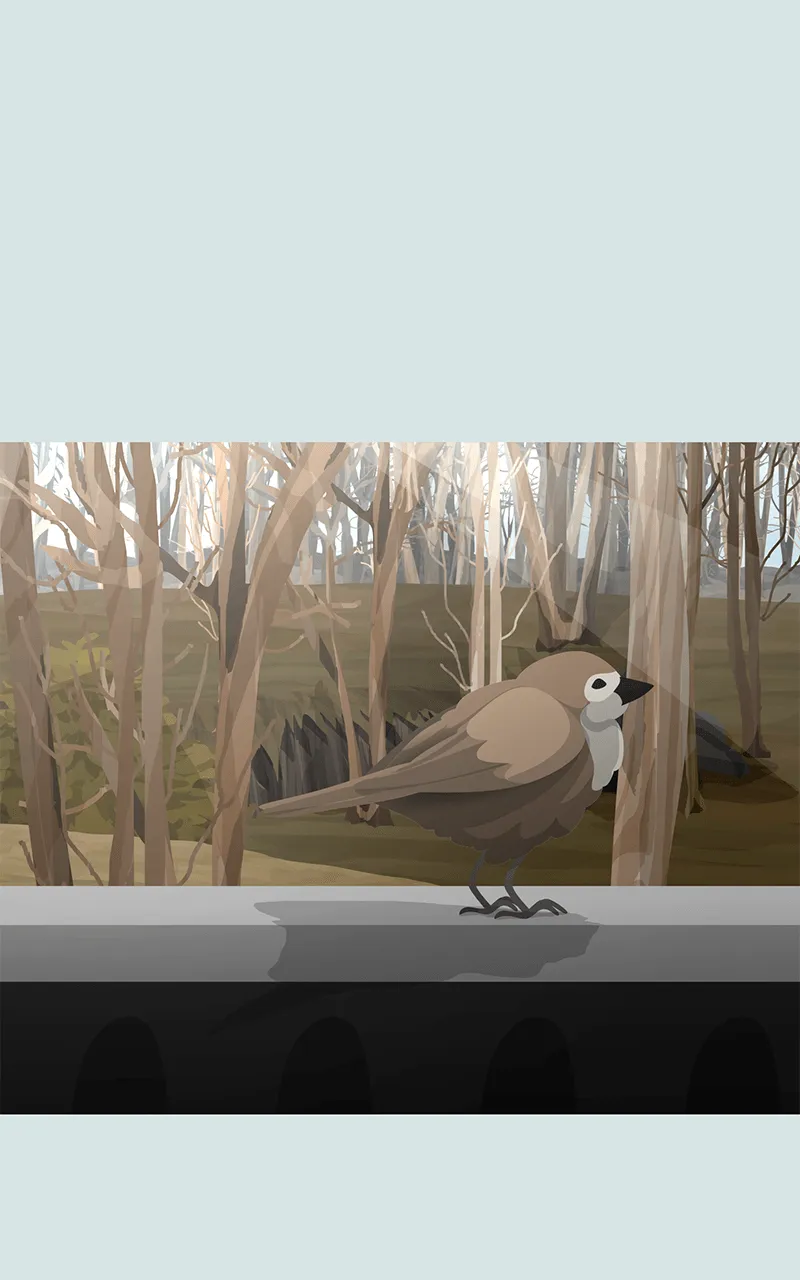 Nonesuch Chapter 63 page 281 - 