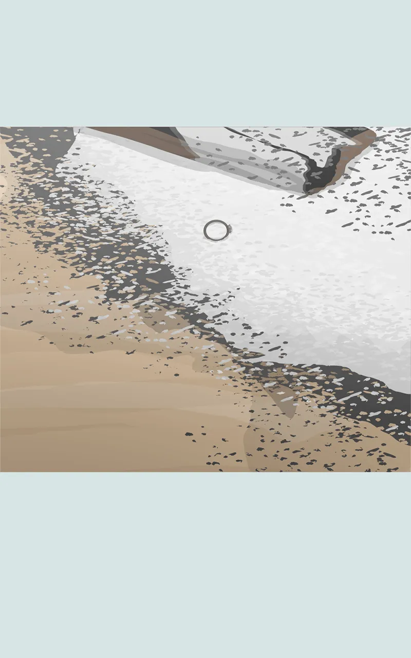 Nonesuch Chapter 63 page 295 - 