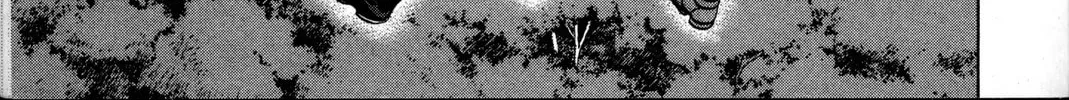 Nora: The Last Chronicle of Devildom Chapter 21 page 50 - 
