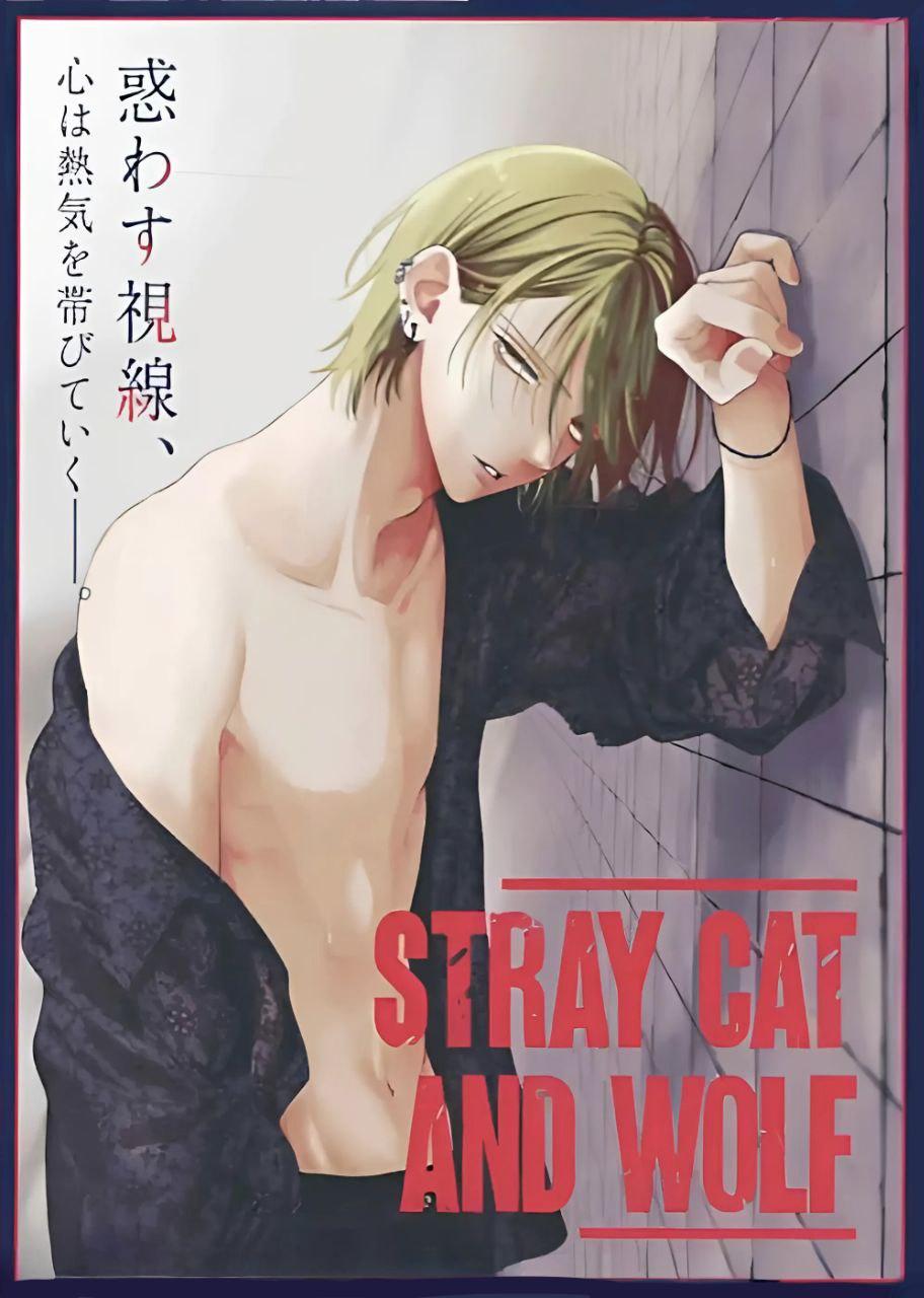 Noraneko to Ookami Chapter 21 page 42 - 