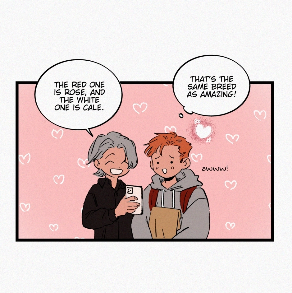 North & East Chapter 76 page 25 - 