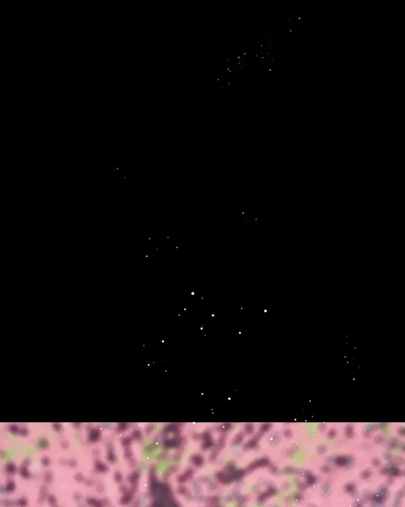 Not Even Bones (R.Schaeffer) Chapter 192 page 8 - 