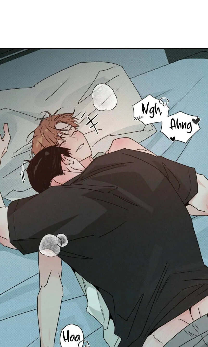 Not Meant to Be Chapter 13 page 3 - 