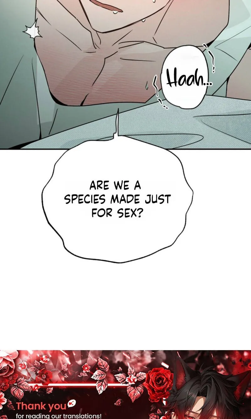 Not Meant to Be Chapter 13 page 78 - 