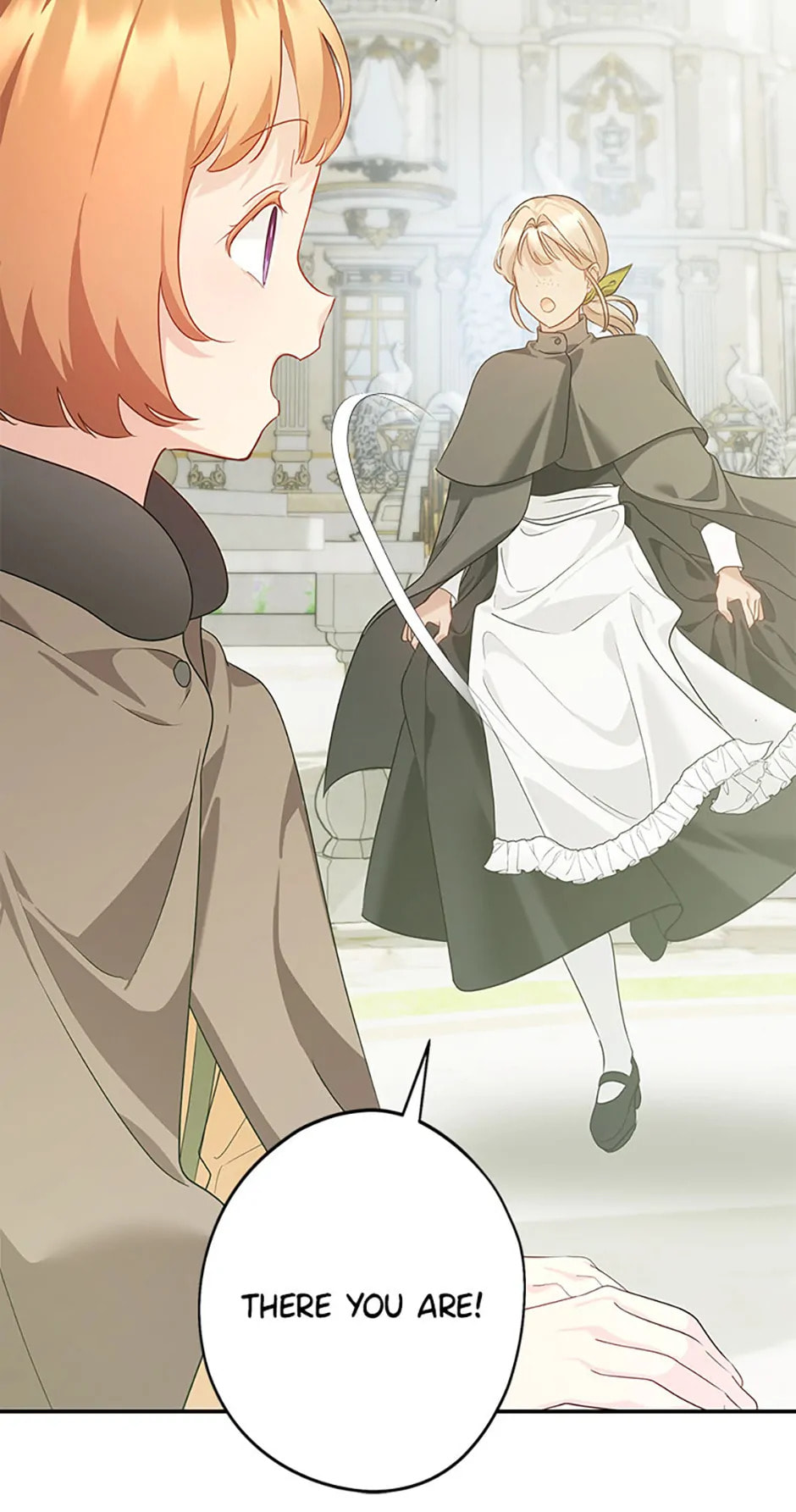 Not your MOTHER in Law Chapter 33 page 107 - 