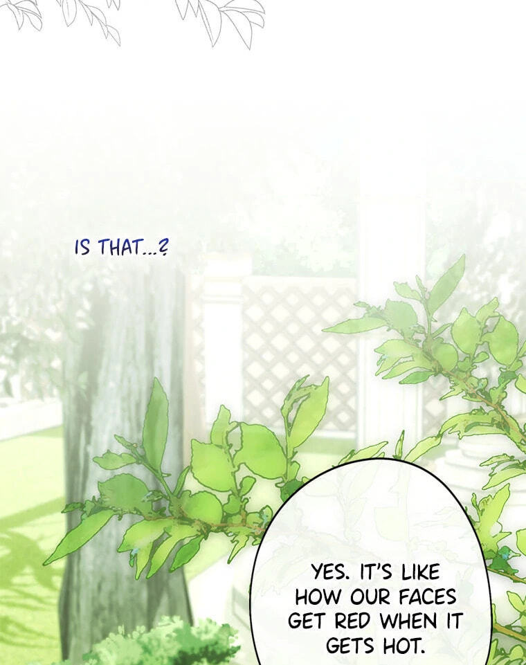 Not your MOTHER in Law Chapter 40 page 109 - 