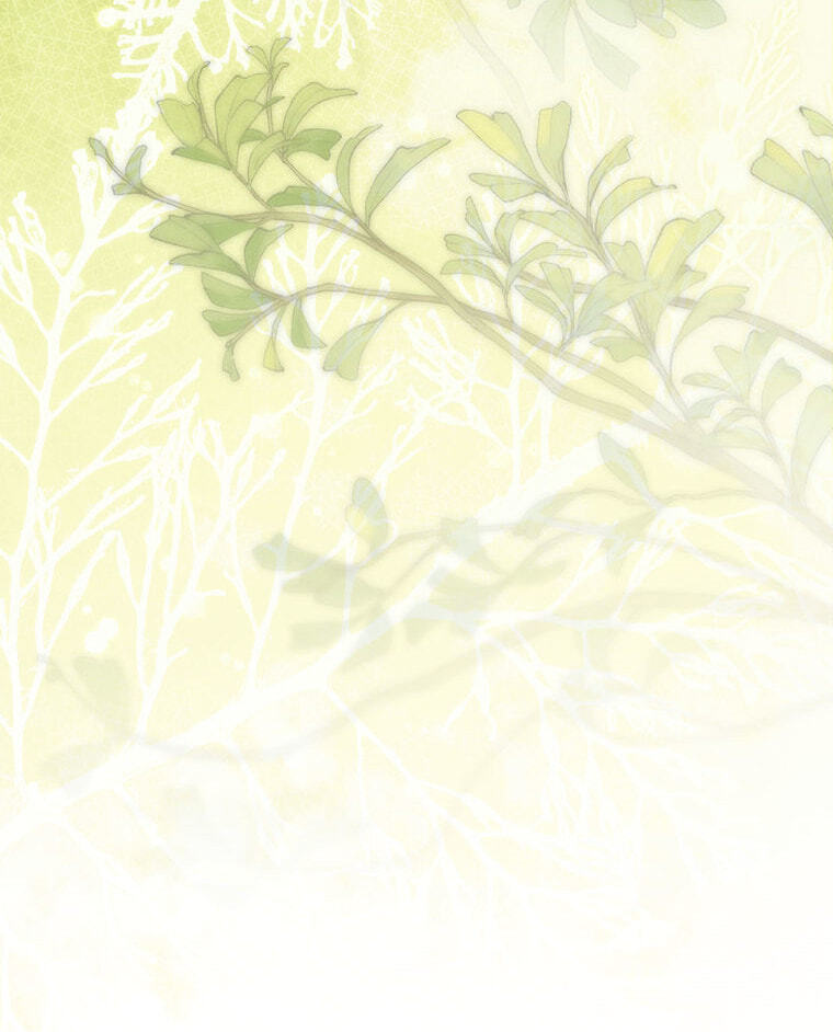 Not your MOTHER in Law Chapter 59 page 134 - 