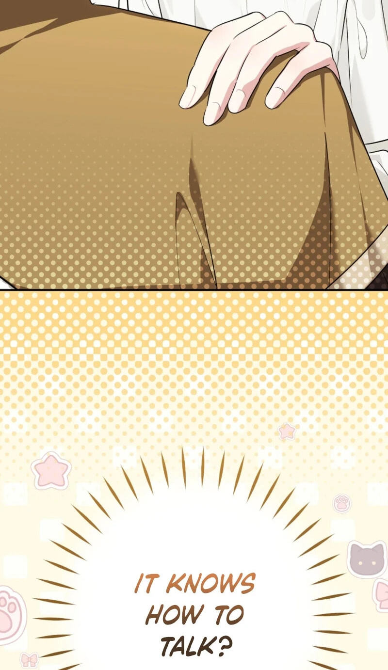 Not your MOTHER in Law Chapter 69 page 84 - 