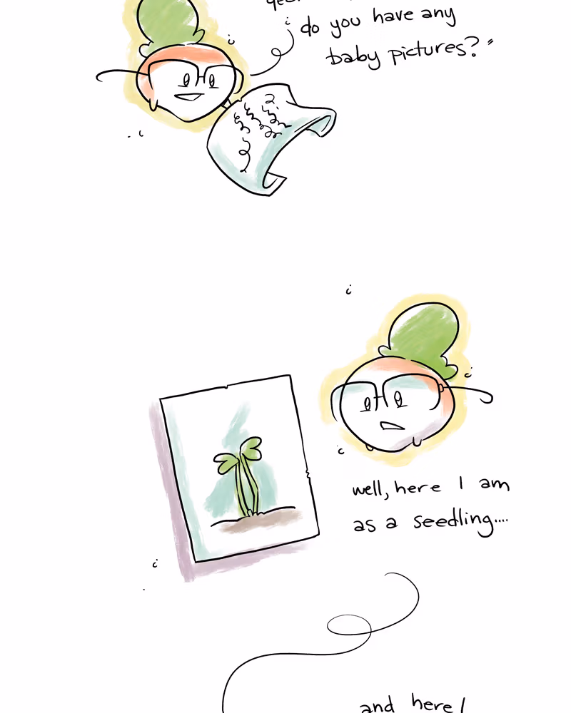 Nothing Special Chapter 57.1 page 12 - 