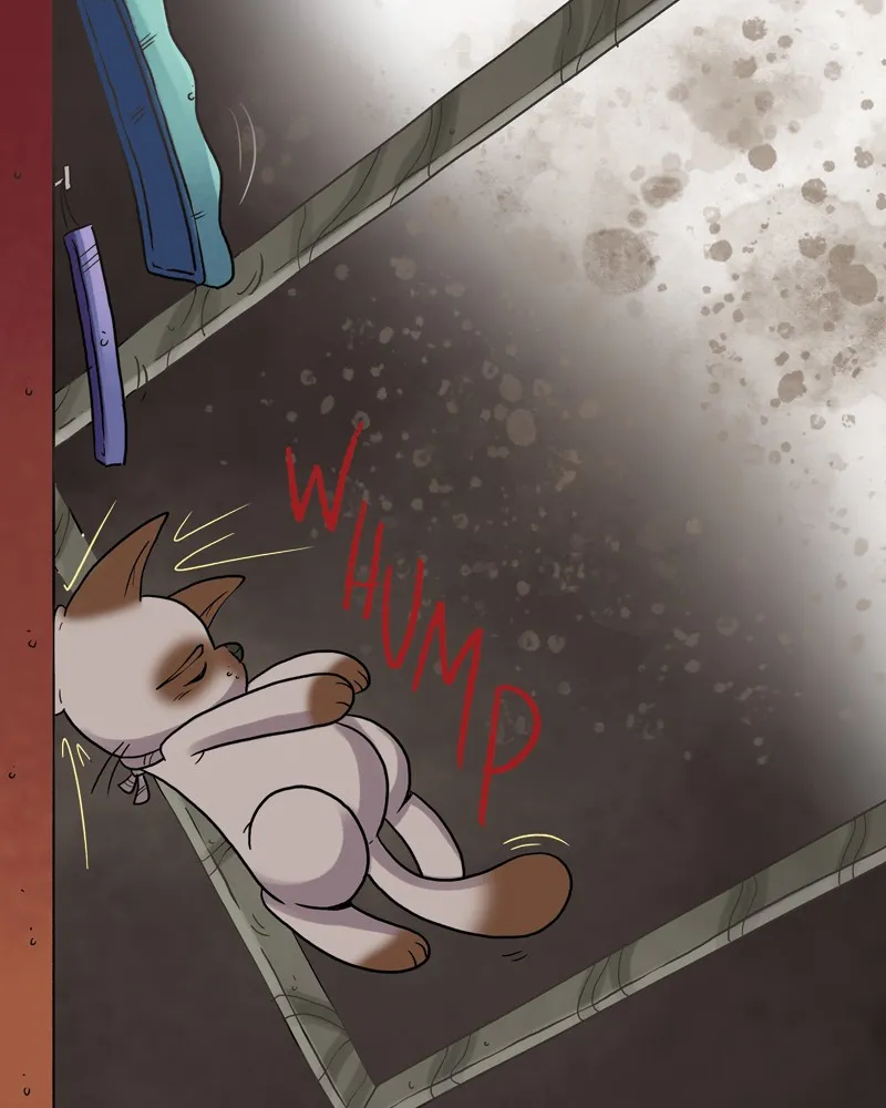 Nothing Special Chapter 65 page 19 - 