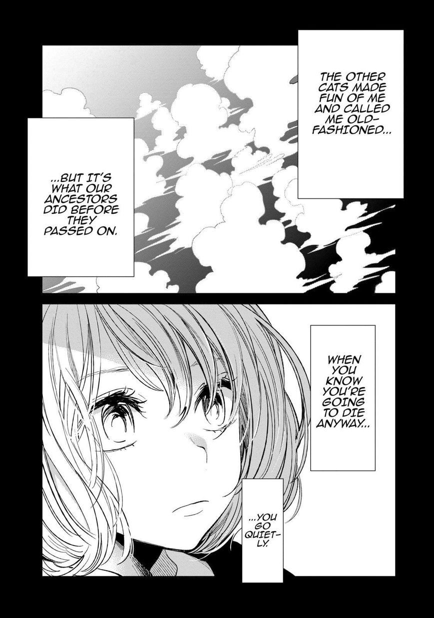Nyan-Nyan Oratorio Chapter 22.5 page 12 - 