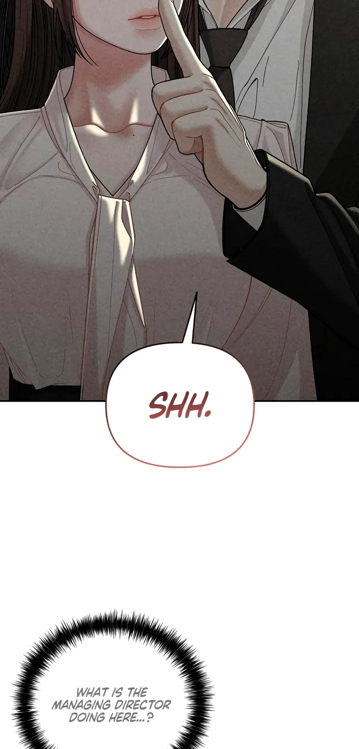 Observing My Mom's Friend's Son Chapter 17 page 21 - 