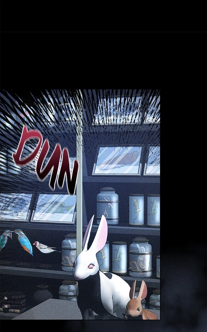 Obsidian Bride Chapter 62 page 50 - 