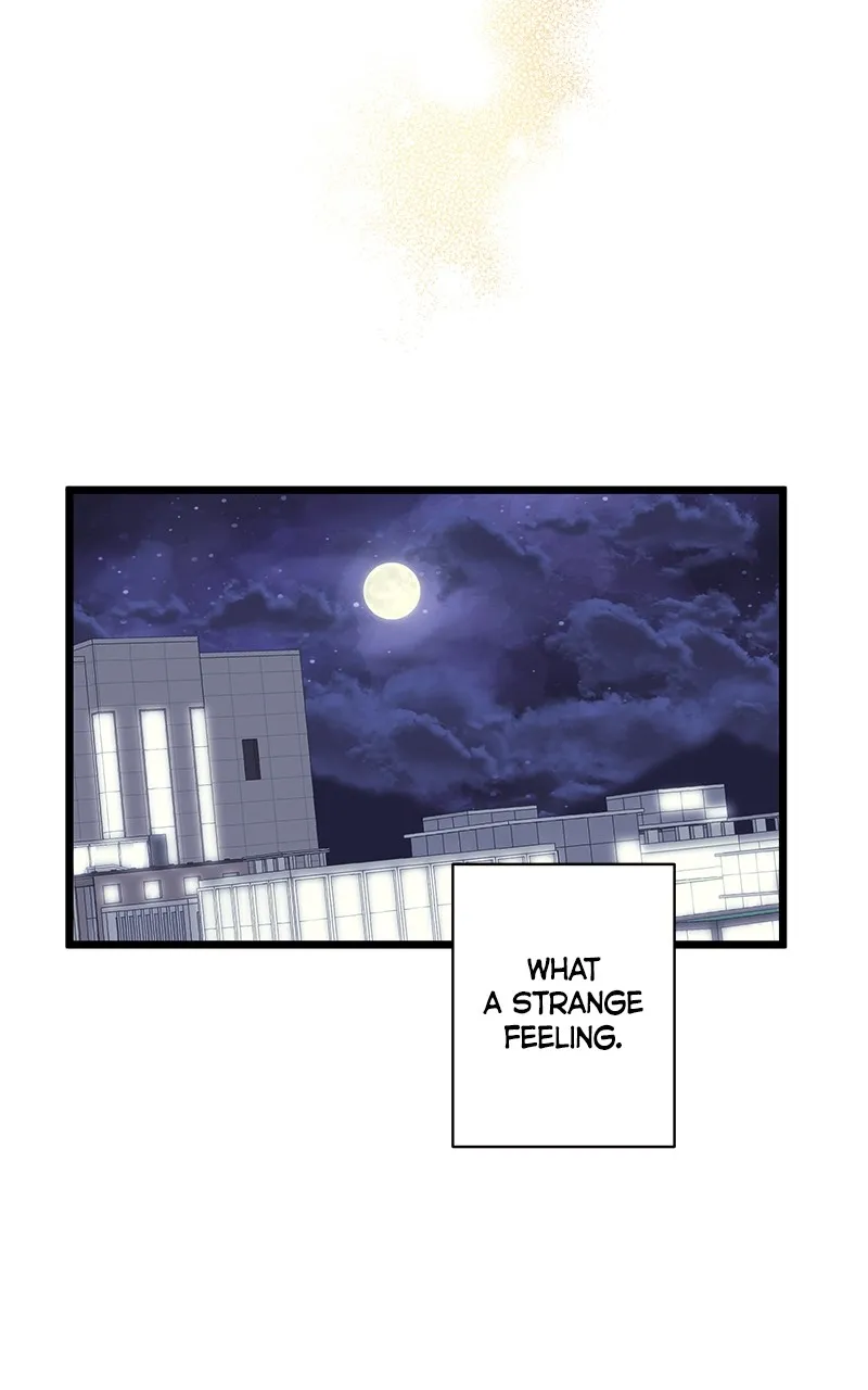 Office Romance from Hell Chapter 37 page 20 - 
