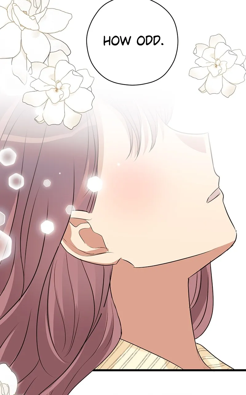 Office Romance from Hell Chapter 50 page 62 - 