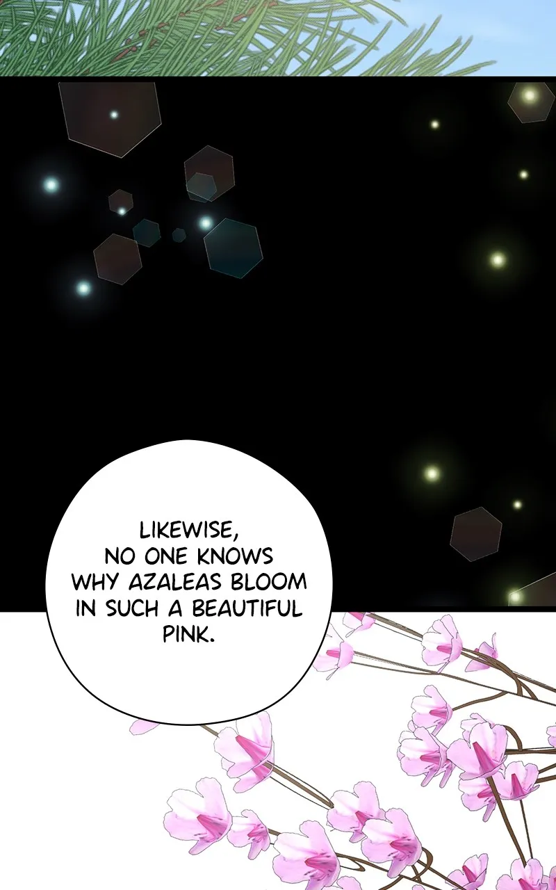 Office Romance from Hell Chapter 64 page 41 - 