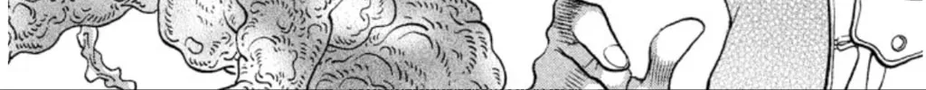 Ogre Slayer Chapter 75 page 22 - 
