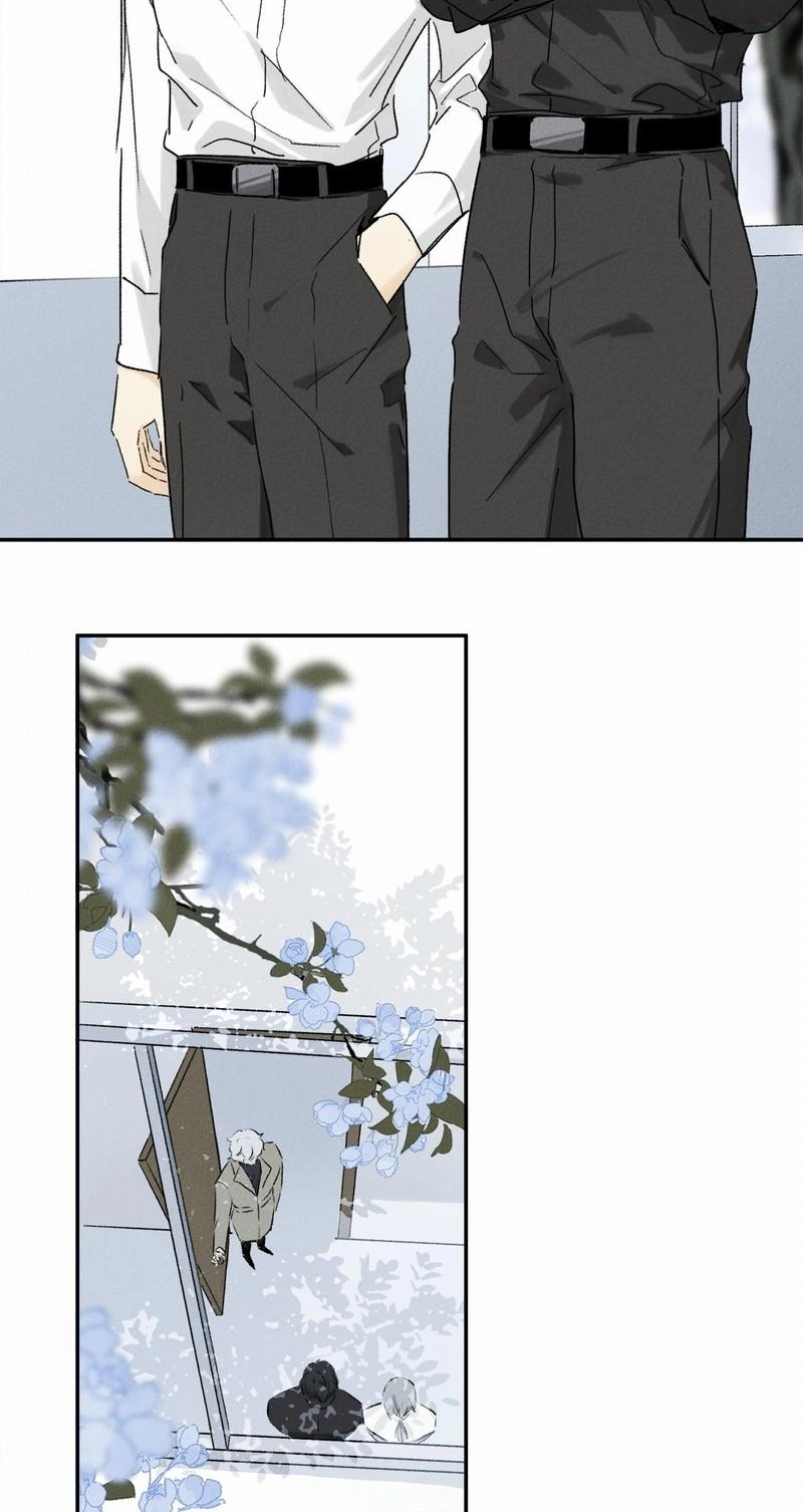 Ogus's Law Chapter 114 page 4 - 