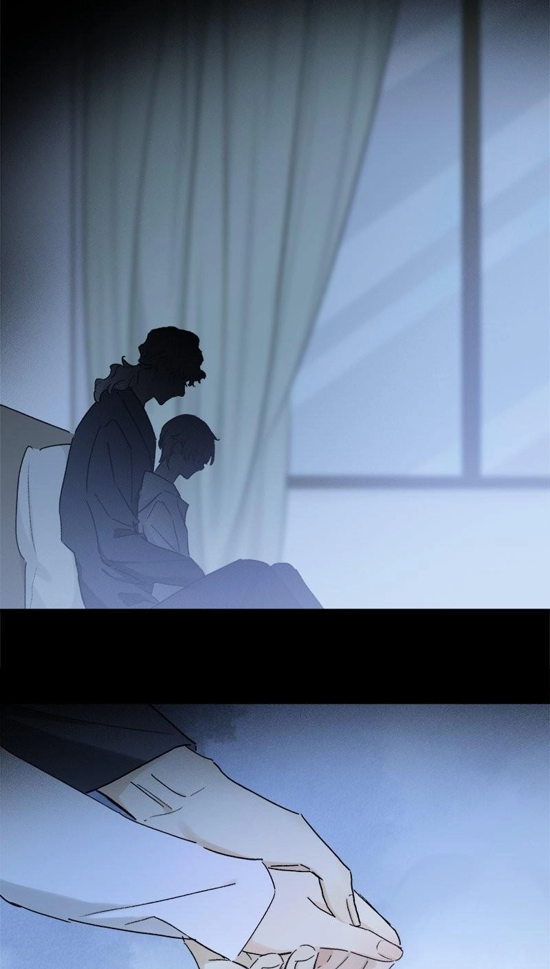 Ogus's Law Chapter 132 page 45 - 